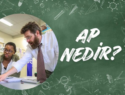 AP Nedir?